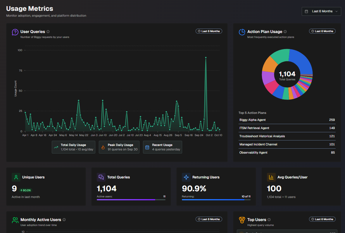 biggy_webapp_usagemetrics.png